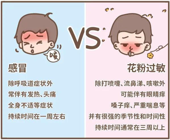 让你花粉过敏的不一定是鲜花,而是