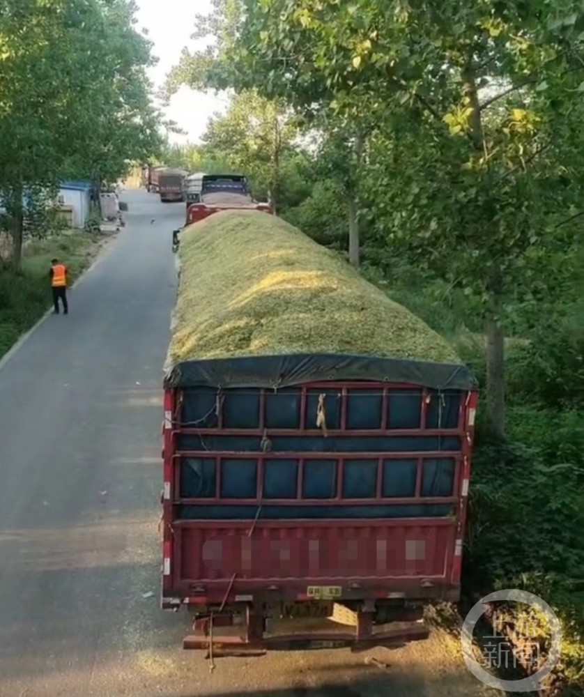 “老虎”龚建华被双开：通报现多处罕见表述，曾给苏荣夫妻送钱新东方丁琛毅