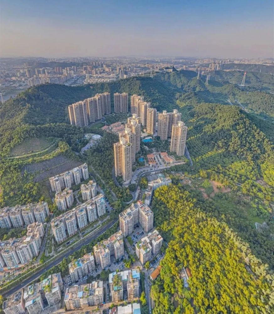 淘金山湖景花园的缺点罗湖淘金山湖景花园怎么样好吗深圳