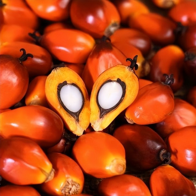 这样特殊的土味太上头了,很久没有吃到油棕果,来版纳的时候还经常能吃