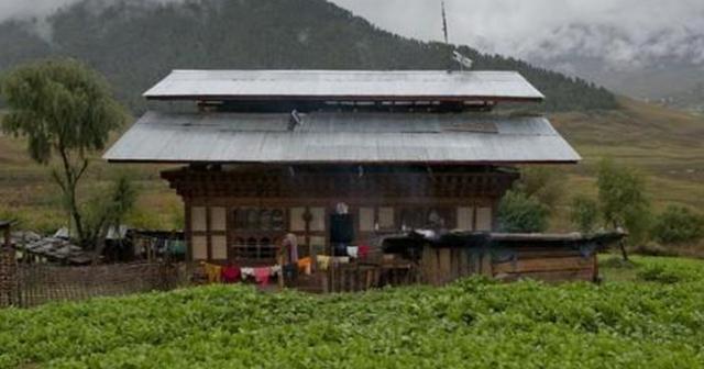 教师夫妇,辞职回家遁入深山,十几年花光350万|北京大学|王青松|张梅