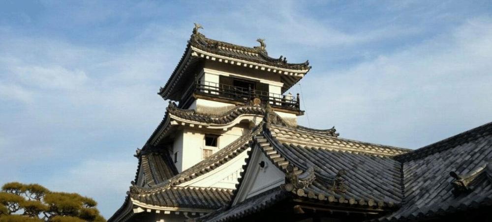 四国岛为何存在感很低 日本人眼中的乡下地方 斗争中经常站错队 文通新闻网 有思想的网站