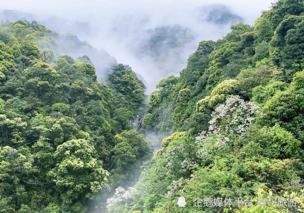 水口镇旅游图片