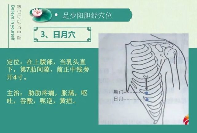 日月穴:胁肋疼痛,胀满,呕吐