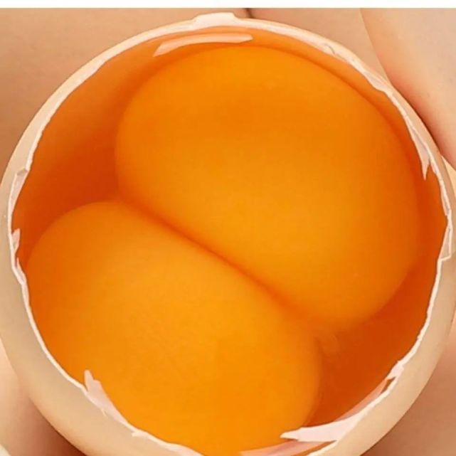 双黄蛋可以孵出两只小鸡吗?|有声百科