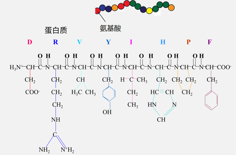 因为一个“很难，很重要的问题”，我从计算机转向研究蛋白质