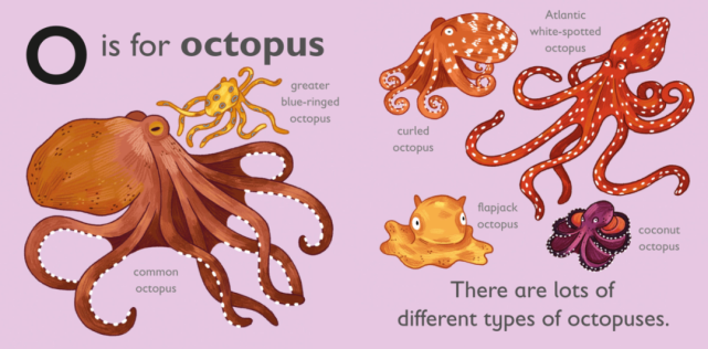 绘本|o表示章鱼(o is for octopus)