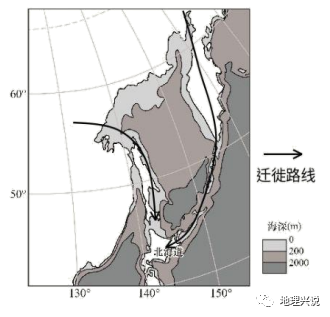 所以不适合发展耕种业;当地海域面积较大,且处于千岛寒流与日本暖流的