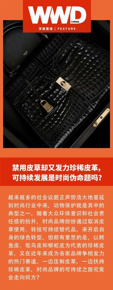 科蒂上调全年利润预期，中国市场2025财年将增两倍怎么给小学生讲英语语法