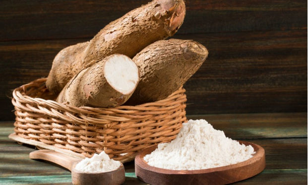 木薯既然能毒死人为何全球10亿人口还拿它当主食抵不住产量高