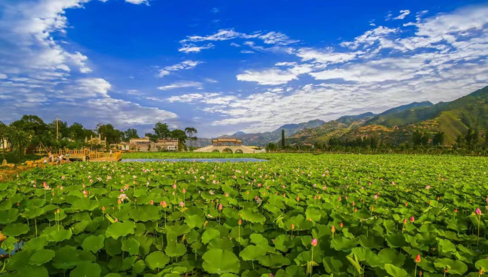 凉意欢迎来22℃的商洛打卡编  辑:冀柯均编  审:杨   森签  发:张力宏