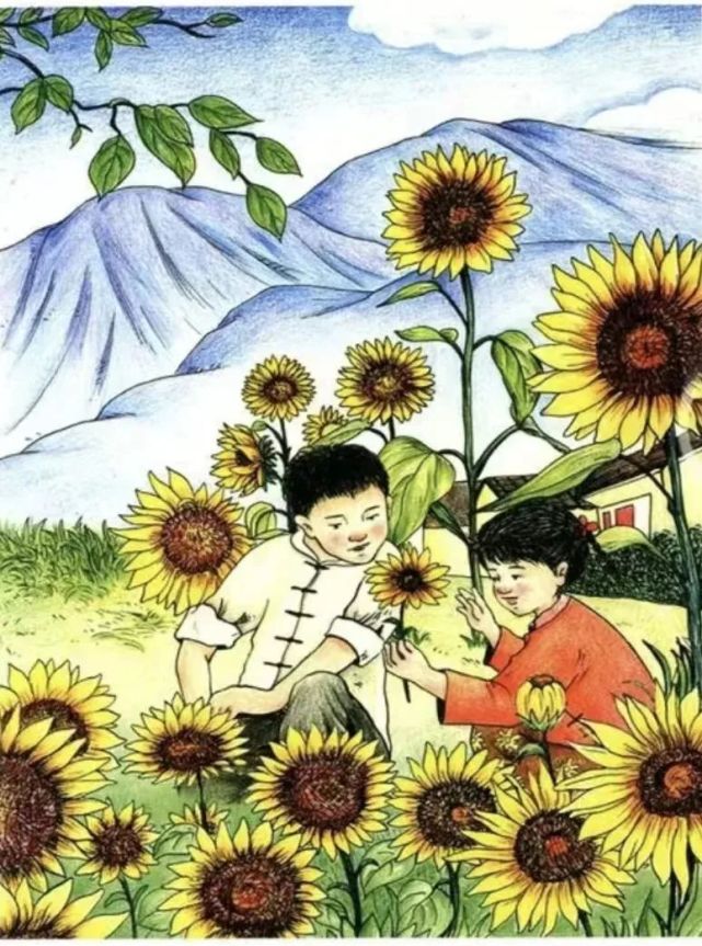 【青园·读书吧】书香涵泳 润泽心灵——好书推荐之《青铜葵花》