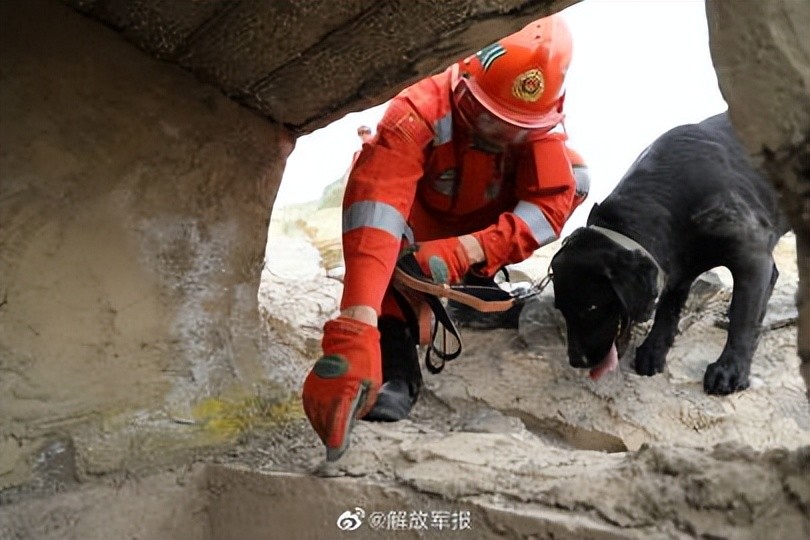 高清大图！直击武警官兵抗震救灾演练现场酒店餐厅预定情景对话