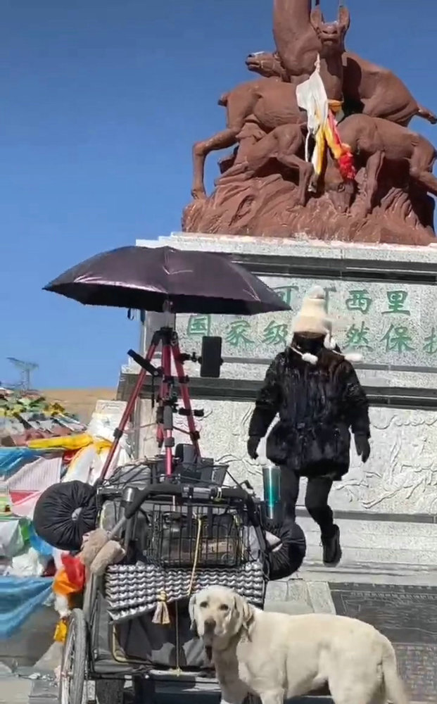 河南女网红在公路上直播徒步西藏当场被摩托车撞飞