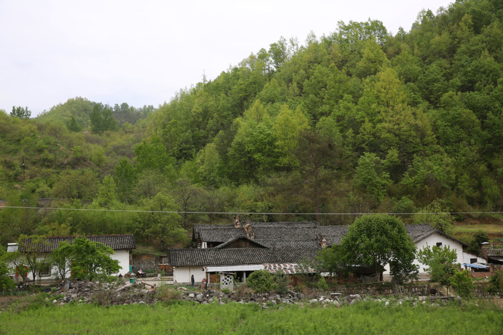 陕南大山里的百年古宅 86岁奶奶住了70来年 年久失修部分倒塌 腾讯新闻