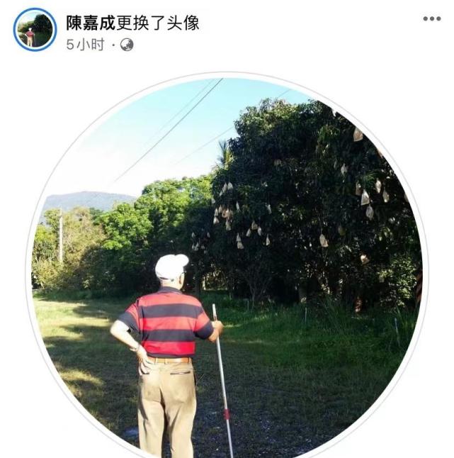 仔细一看头像内容正是陈炳楠的背影