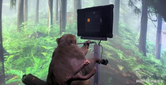打开虚拟世界的钥匙，猴子也能玩游戏了？
