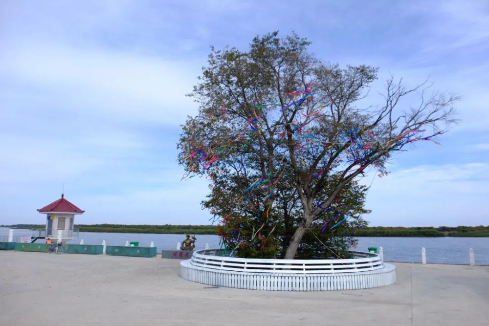 『铸牢中华民族共同体意识』黑龙江畔的明珠75孙吴县沿江满达乡胜利