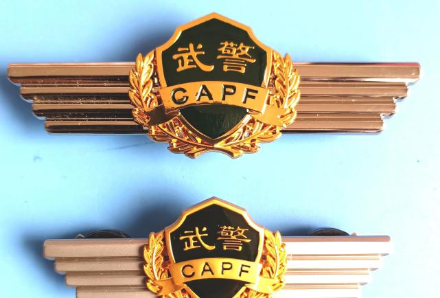 毛启国:再议武警07式胸标