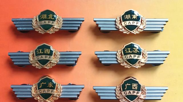 毛启国:再议武警07式胸标