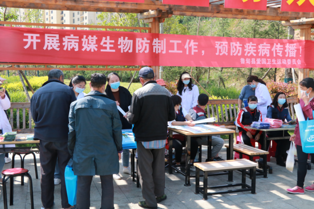 鲁甸开展病媒生物防制保障群众身体健康