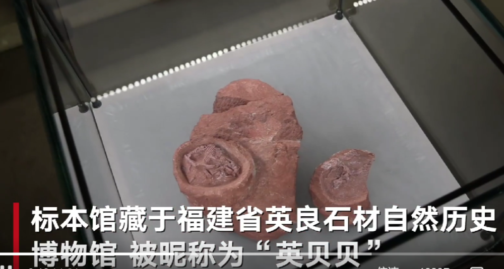 農業農村部：中國80%的水產品來自養殖，全球養殖水產品60%來自中國廣東珠三角樞紐機場最新消息