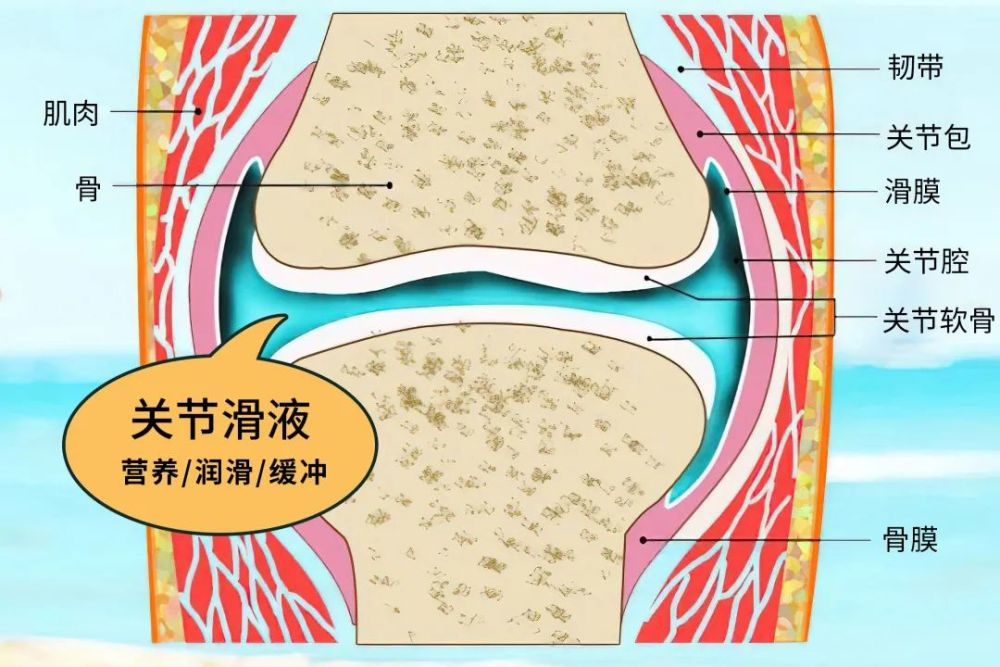 成都治療膝蓋積液好的醫院老年人膝關節積液要找準原因只抽積液小心抽