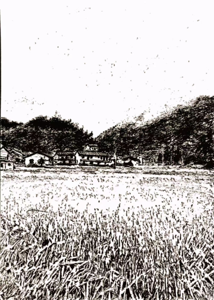 向前十数步便是绵延成片的稻田,仲春之际,青苗葳蕤,满载生机与希望