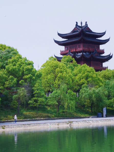 赏景健身两不误就在龙泉这些好地方!