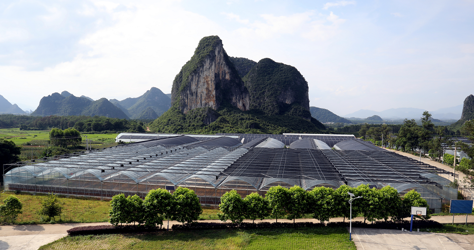 乡村处处如画卷为你解开平桂区乡村振兴密码