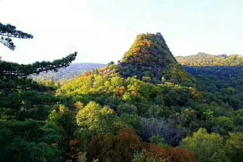 雞冠山景區開園啦