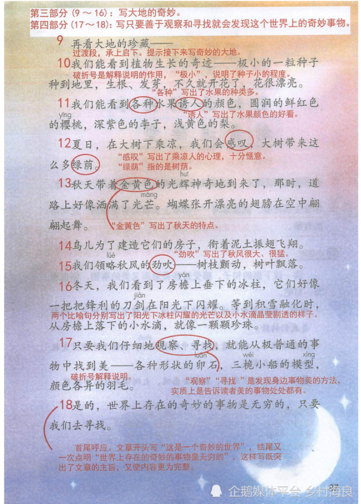 小学三年级下语文22课《我们奇妙的世界》课堂笔记,阅读题及练习题