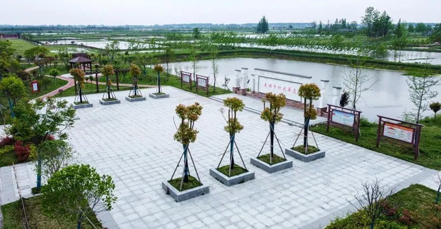 创成文明城建设新潜江龙湾镇创建文明城市共建美丽家园