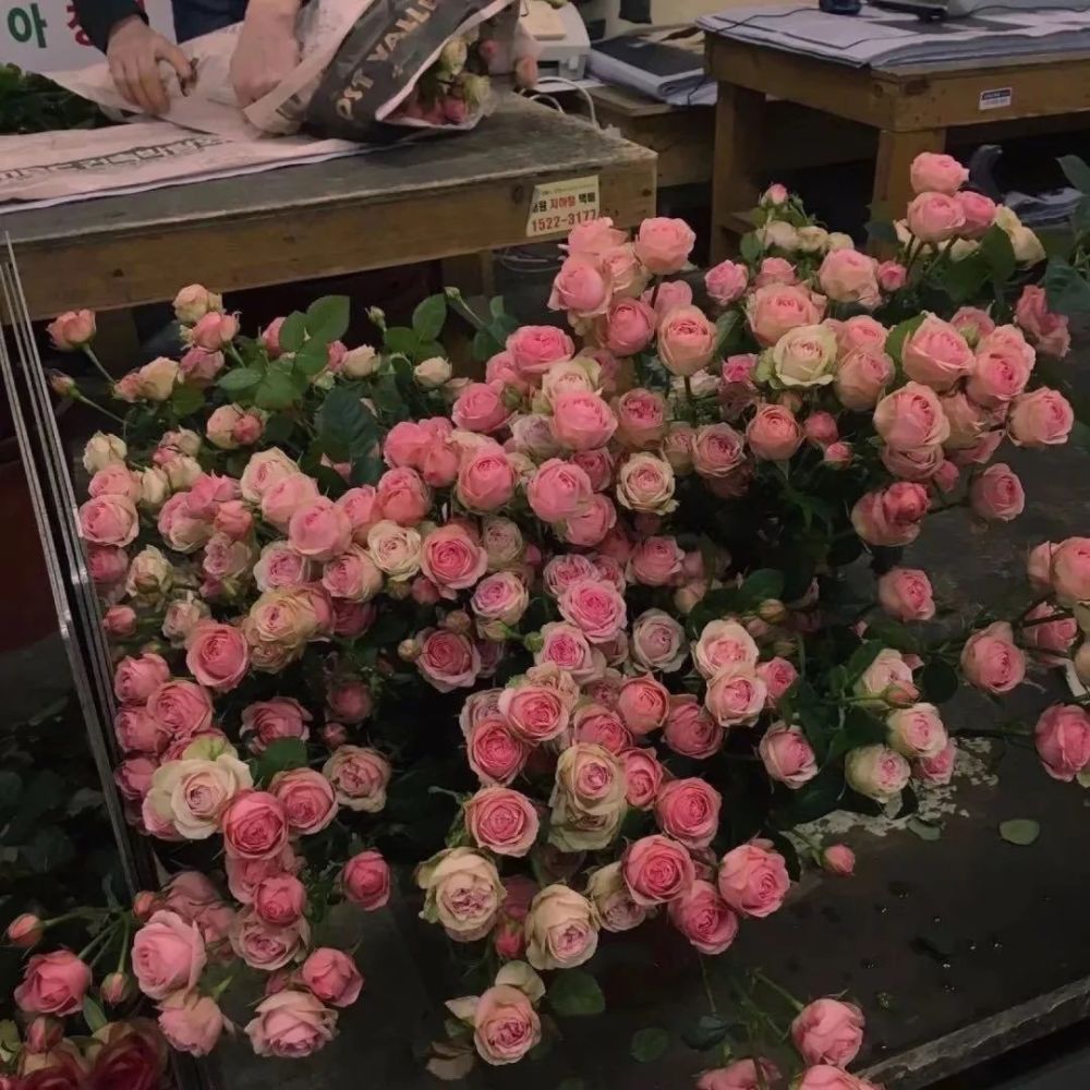 花花背景图插图2