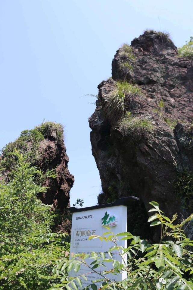 枞阳白云岩景区路线图图片