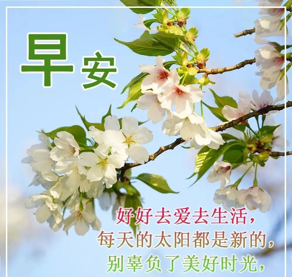 不用打字就可以聊天的早上好图片 好看的夏天早安问候祝福动画图片