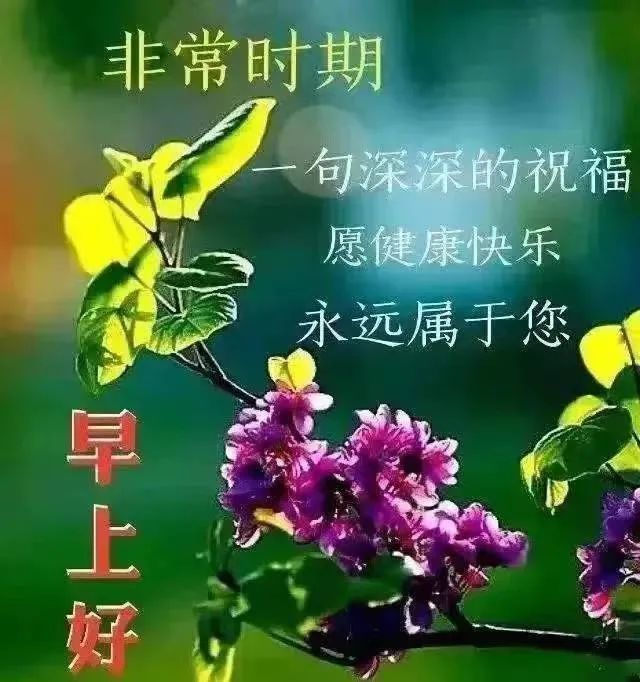 疫情當下 祝一切安好早上好!2. 春來草綠怡人生,有緣風雨一路行.