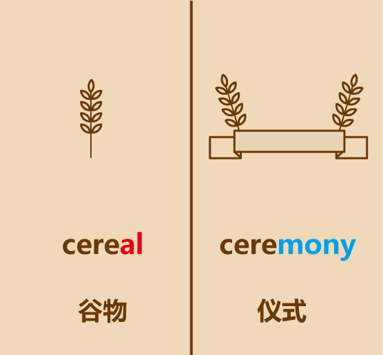 懒人英语简笔画cereal