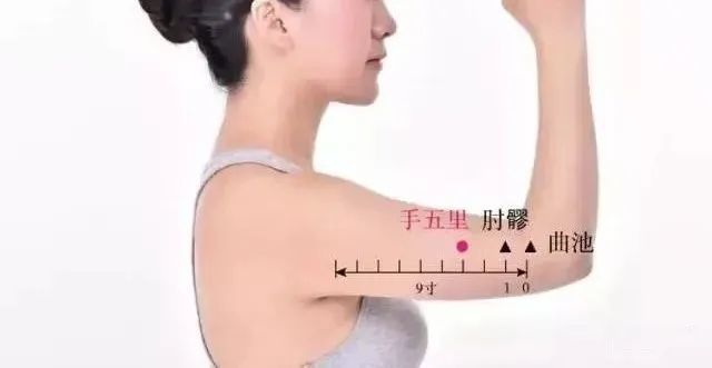 手五里肘臂挛痛瘰疬
