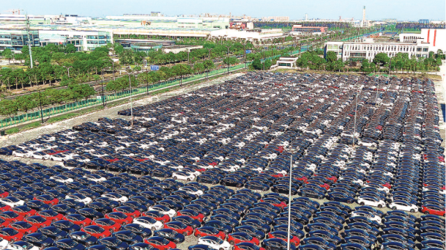 上海南港碼頭密集停放著臨港車企製造的待出口商品車.