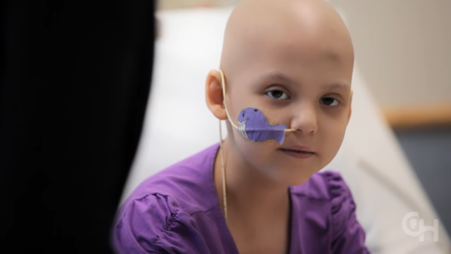 emily|医生|细胞|癌症|白血病