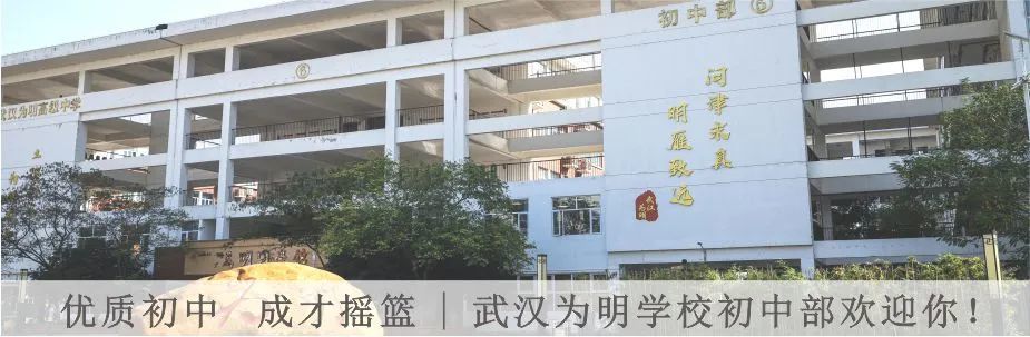 湖北网站教育平台登录_湖北教育在线网_湖北教育网站