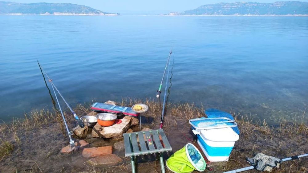 五一節後黃河小浪底水庫釣魚鷹嘴山大水面連桿鯽魚鯉魚爆護