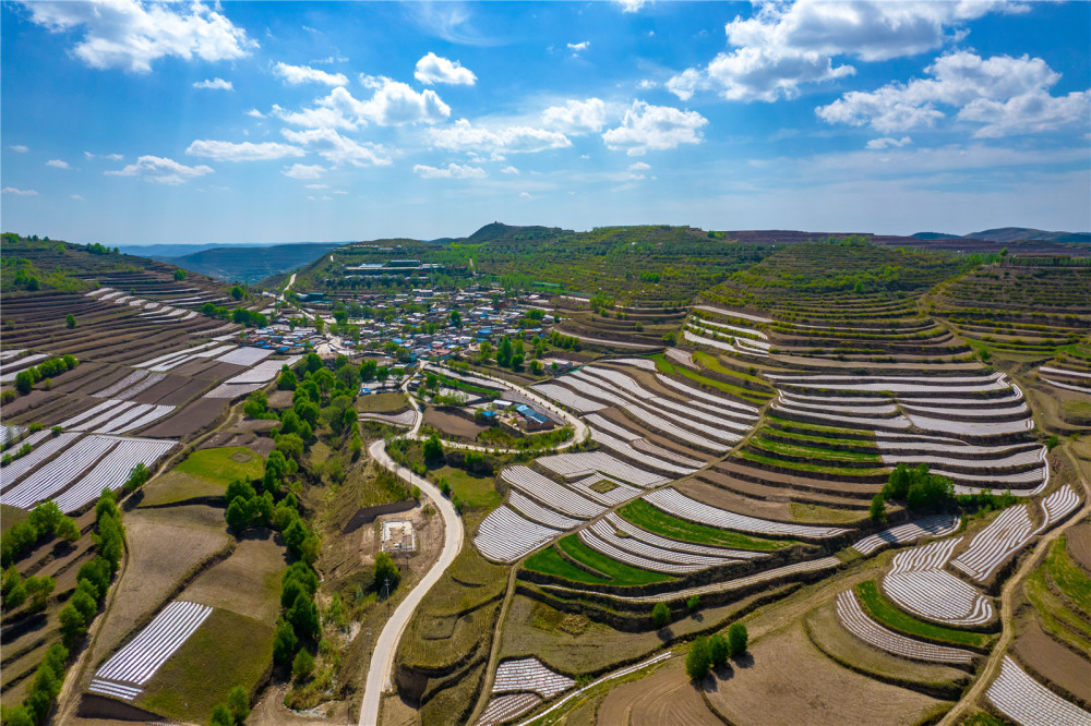我的村我的家西吉县龙王坝村在家门口收获稳稳的幸福