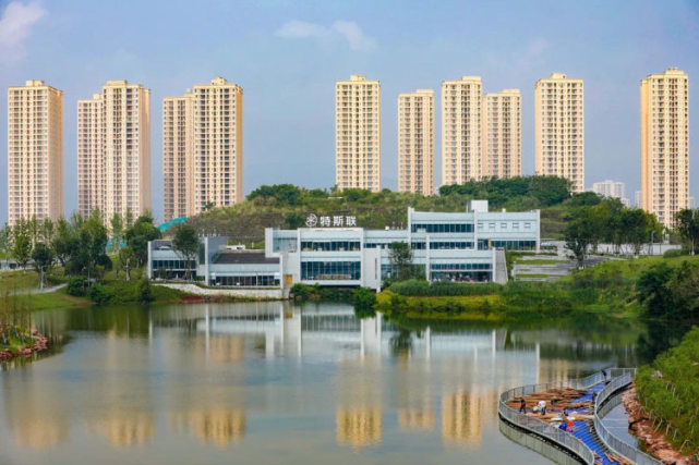 探访西部重庆科学城生态修复工程凤鸣湖畔美景初现