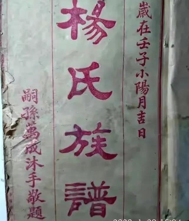 杨震裔孙骆驼刺杨 为先辈们自豪与骄傲 第十一篇 杨氏族谱传承昌吉市