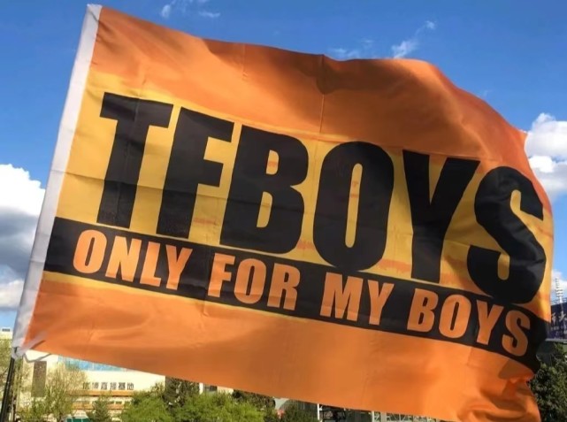 应援大旗应援旗有组合的也有个人的,旗帜在歌声中飘扬,大家也跟着音乐