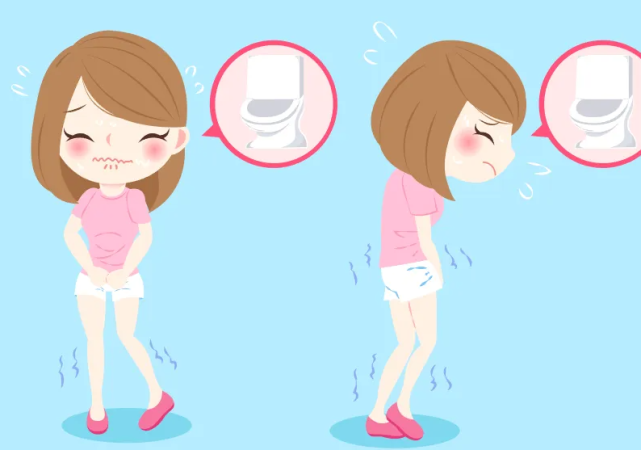 有尿意该不该马上去厕所方便,憋尿到底伤不伤肾?