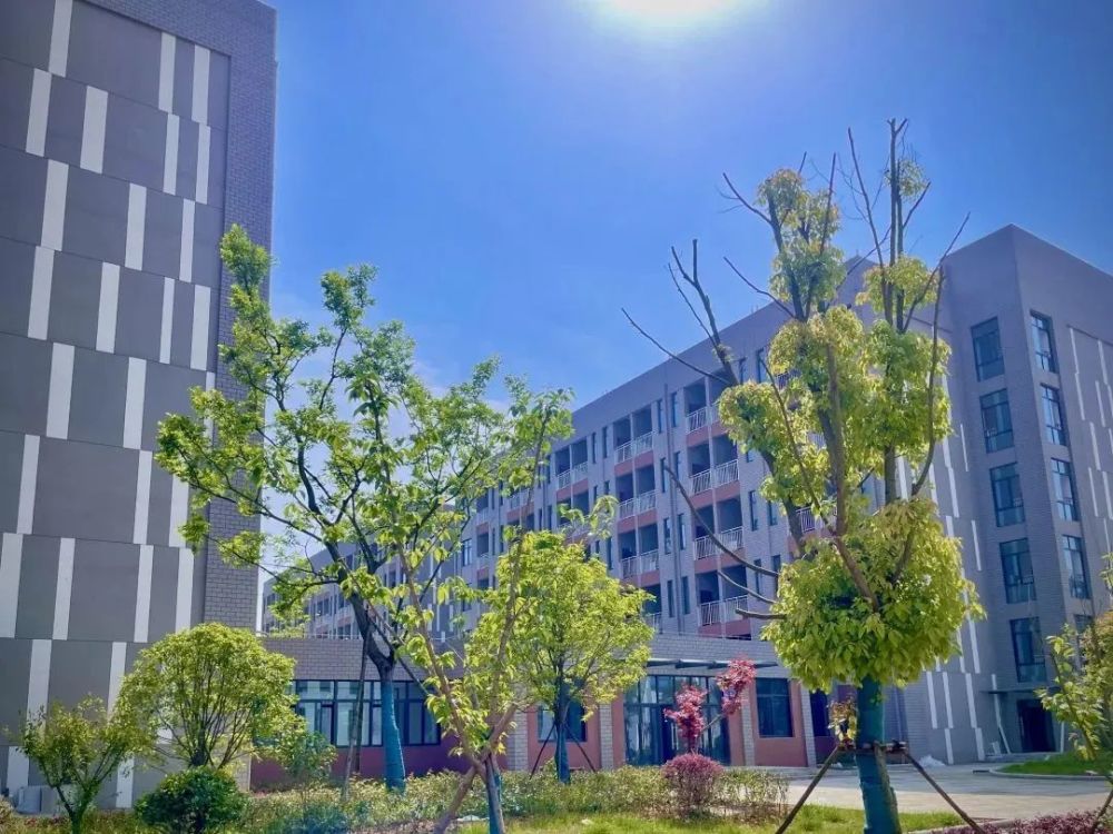 一流的设施,铜陵中学新校区是安徽省教育设施设备最先进的学校之一