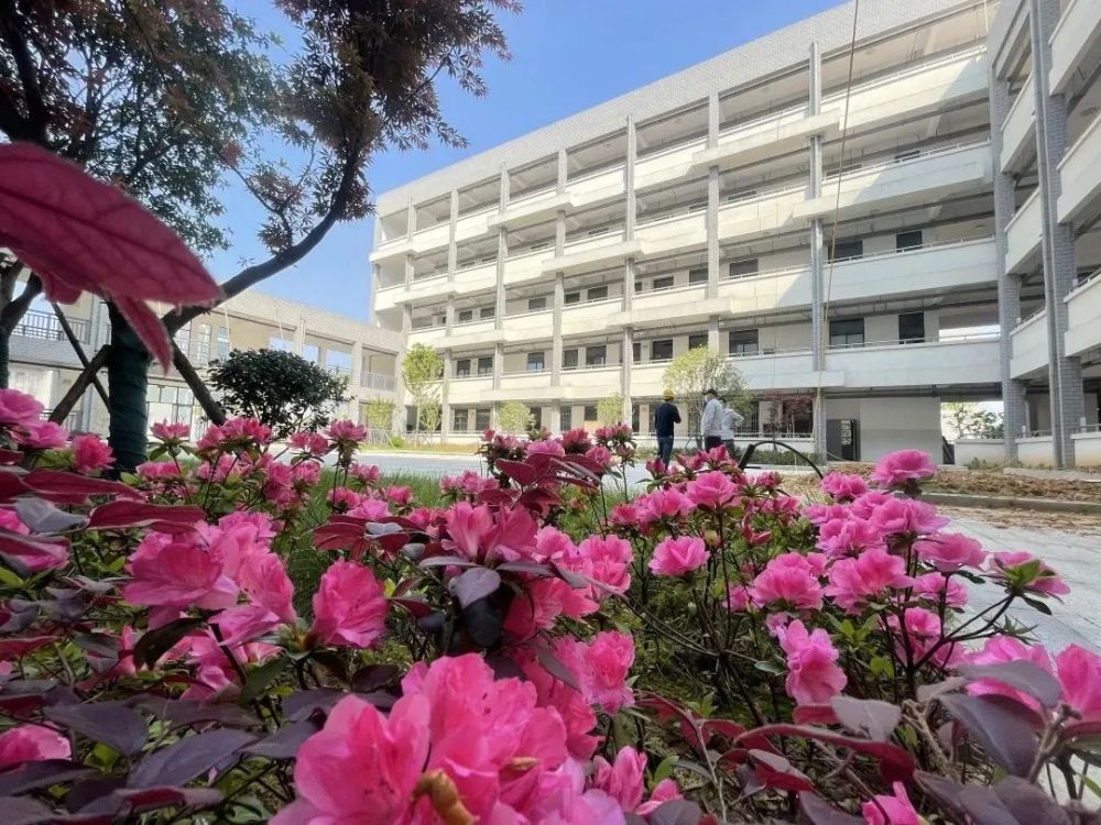 铜陵这所高中新校区亮相!_腾讯新闻